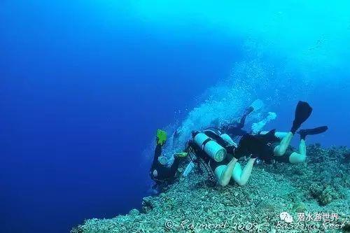 狐狸的旅程